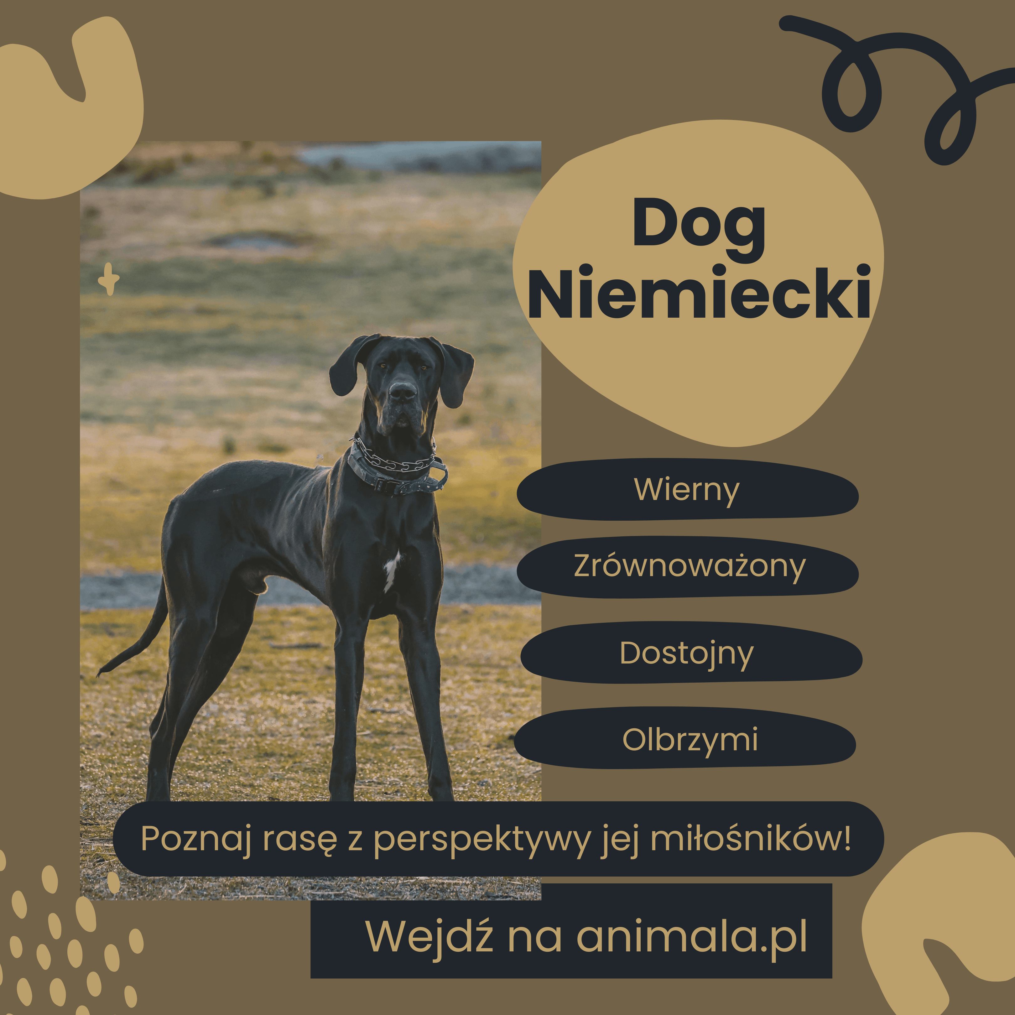Dog niemiecki.png