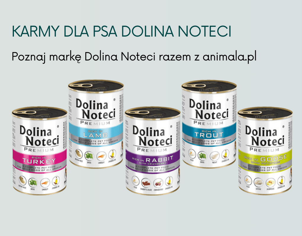 Dolina Noteci banner (1020 x 800 px).png