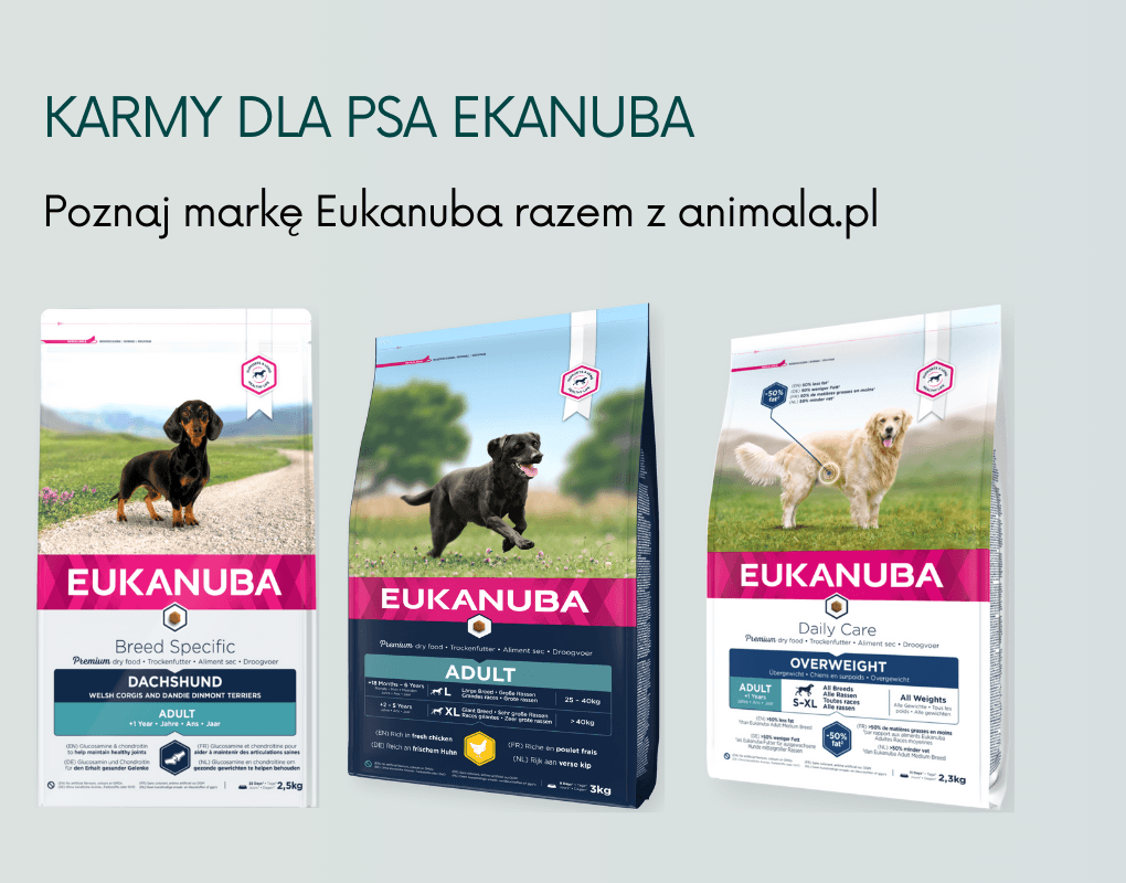 Eukanuba banner.png