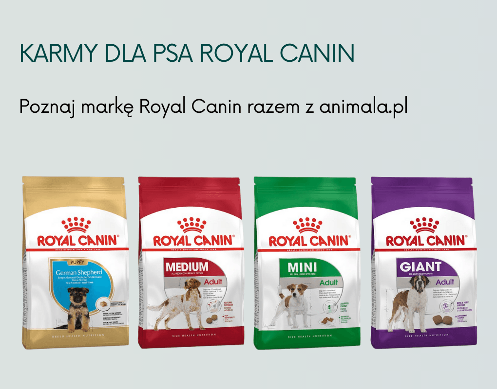 Producent Royal Canin banner (1020 x 800 px).png