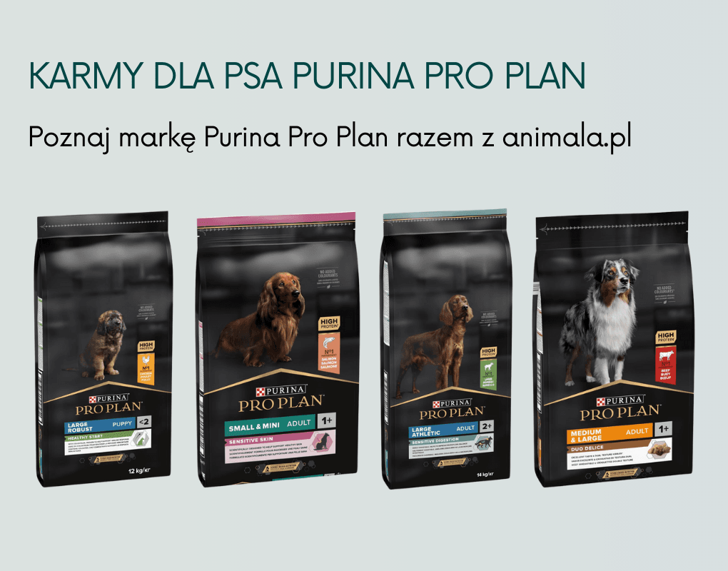 Purina PRO Plan Producent banner (1020 x 800 px).png